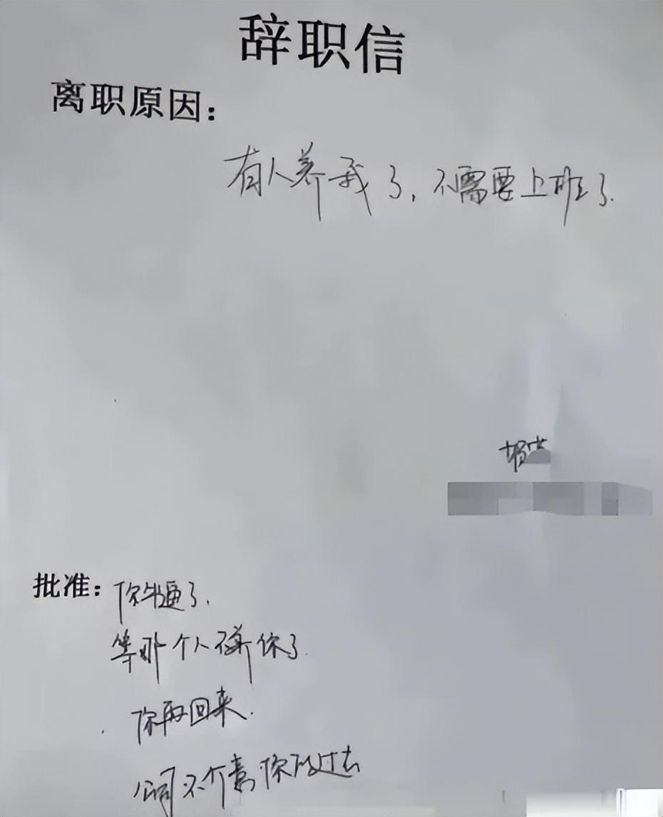“有人養(yǎng)我不上班了”，00后囂張辭職信走紅，老板回復盡顯格局(圖5)