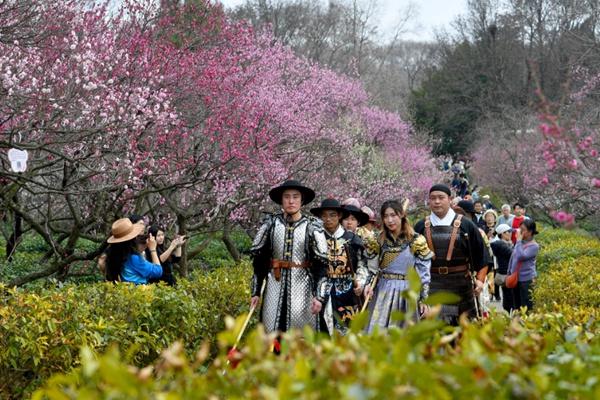 2024中國南京國際梅花節(jié)詳細(xì)游玩攻略