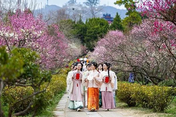 2024中國南京國際梅花節(jié)詳細(xì)游玩攻略