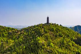 盤(pán)龍大觀(guān)園游樂(lè)項(xiàng)目介紹