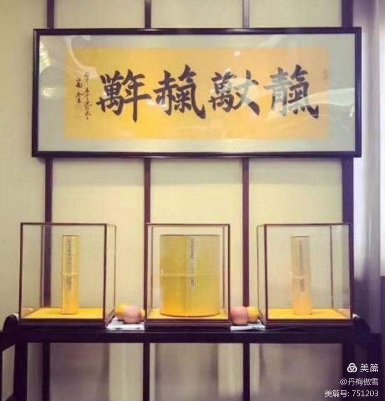 博采萬(wàn)象貫古通今，筆神墨仙傳承千年——記中國(guó)抄經(jīng)第一人，萬(wàn)福圖騰創(chuàng)始人江南余良先生(圖28)