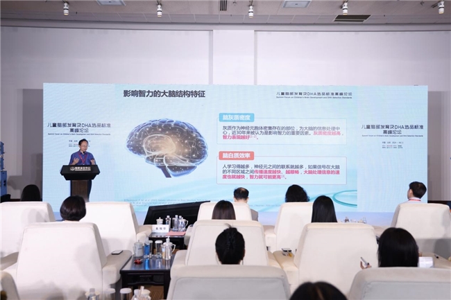 inne引領DHA行業革新：高峰論壇開啟新篇章，人民日報、新華網齊點贊(圖5)