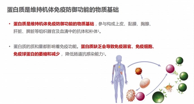 選購蛋白粉不再迷茫：蛋白粉哪個(gè)牌子好，一文告訴你補(bǔ)充蛋白質(zhì)提高免疫力吃什么